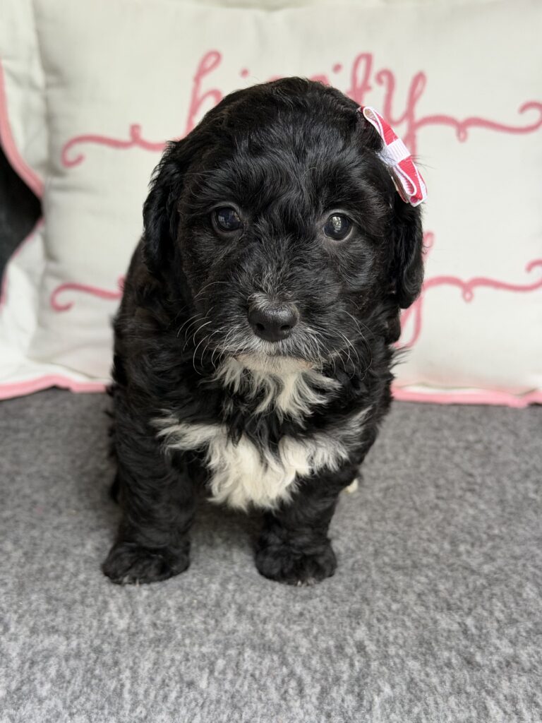 Denali